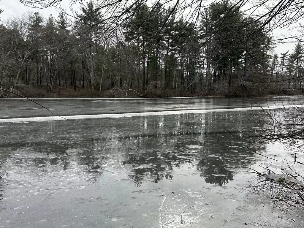 Bellingham, MA 02019,71 Box Pond Dr