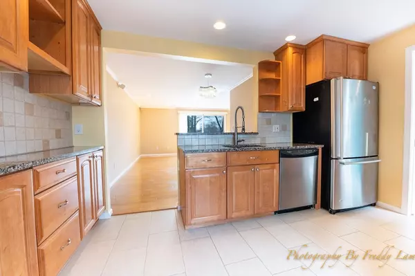 Newton, MA 02464,31 Lucille Place #-