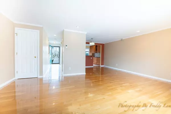 Newton, MA 02464,31 Lucille Place #-