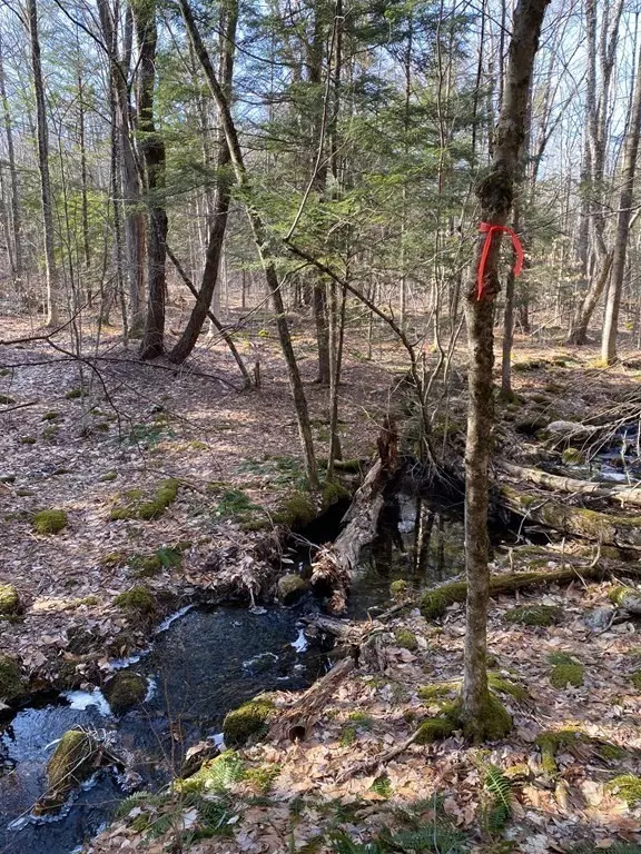 Becket, MA 01223,0 Pickerel Close Rd