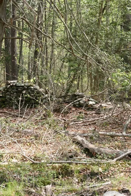 Rochester, MA 02770,lot 3 Featherbed Ln