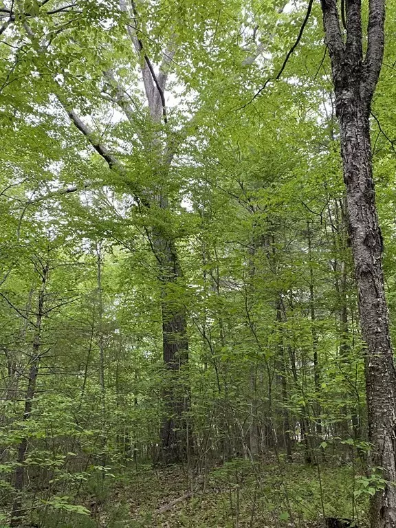 Monson, MA 01057,Lot Brimfield Rd