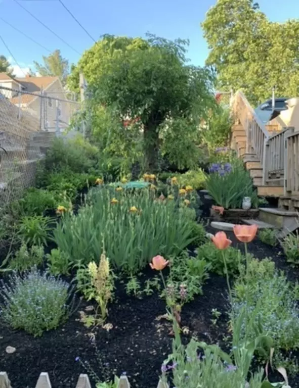 Lynn, MA 01904,16 Trevett Avenue