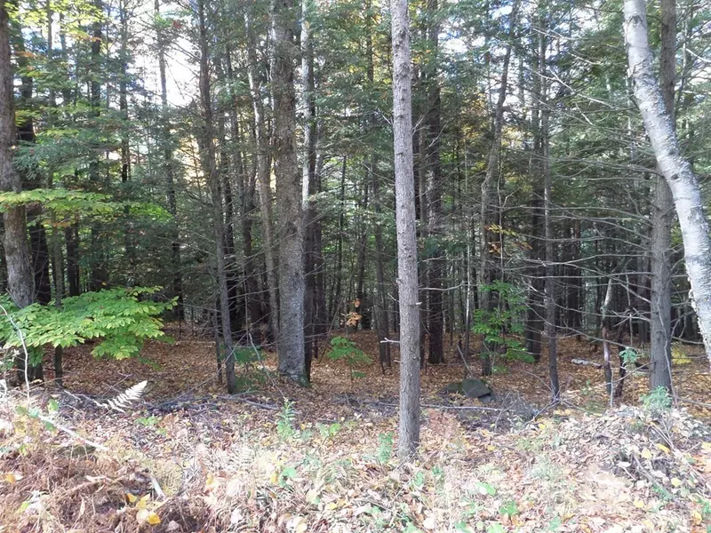 0 Thayer Hill Rd, Worthington, MA 01098