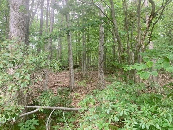 Lot 5 Richardson Rd, Ashby, MA 01431