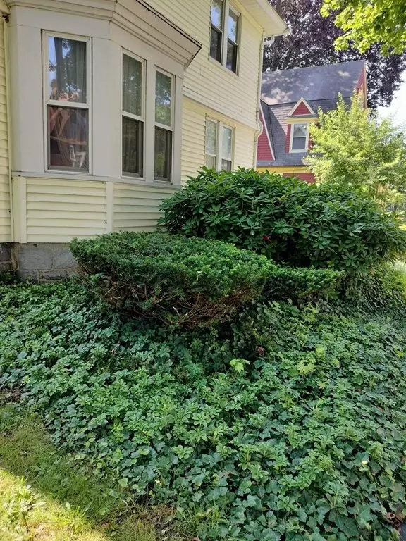 Worcester, MA 01609,58 Fruit