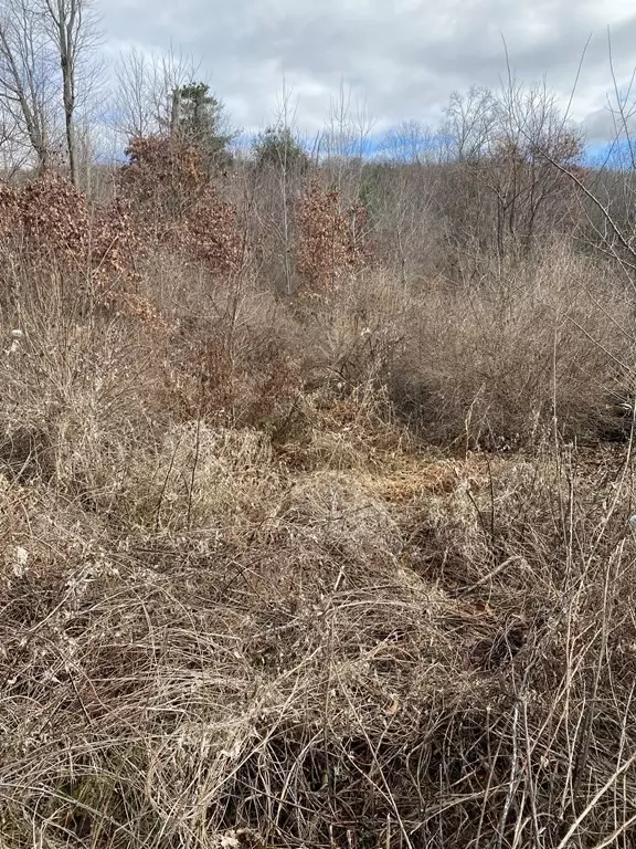 Monson, MA 01057,Lot A Bethany Rd