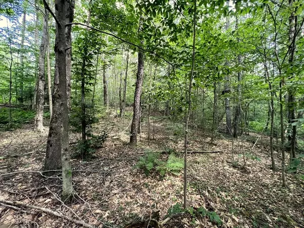 Middlefield, MA 01243,Lot97 Town Hill Road
