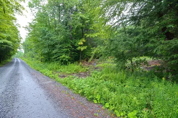 171 Arthur Pease Rd, Middlefield, MA 01243