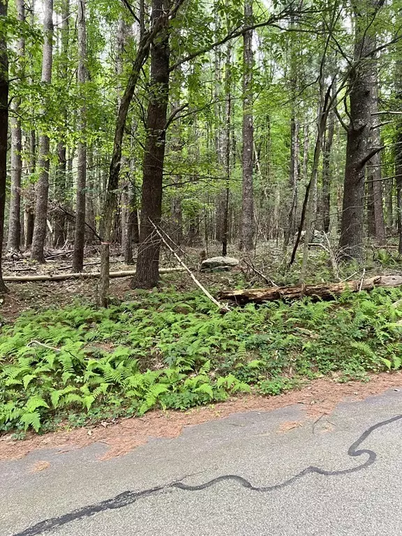 Sturbridge, MA 01566,34 - Lot F South Rd