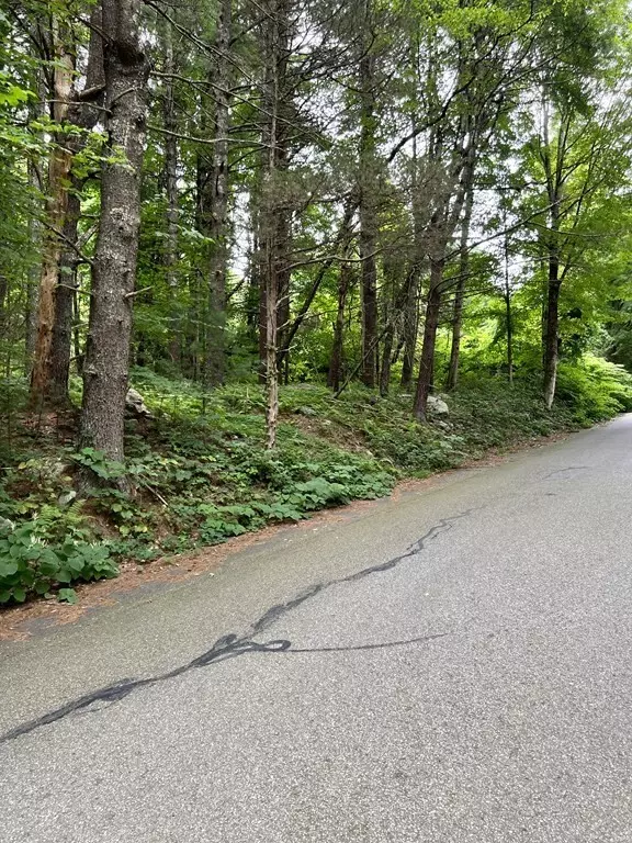 Sturbridge, MA 01566,34 - Lot F South Rd