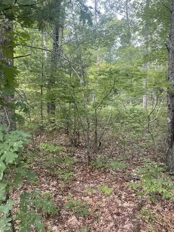 Uxbridge, MA 01569,55 Aldrich St