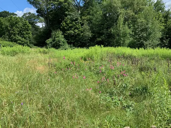 Colrain, MA 01340,0 Ed Clark Rd, Lot 61