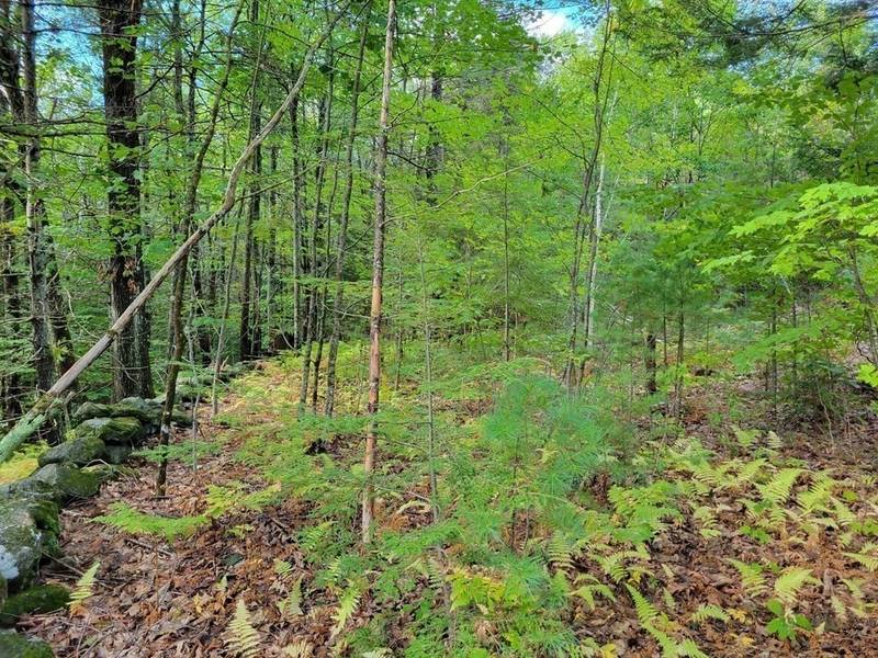 Lot-6 Doyle Avenue, Winchendon, MA 01475