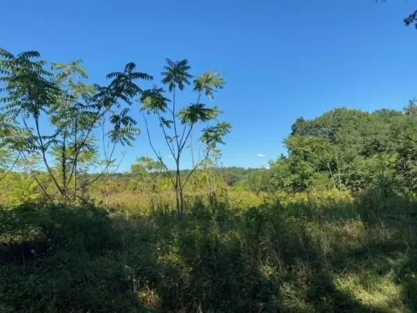 Sutton, MA 01590,126 Dodge Hill Rd