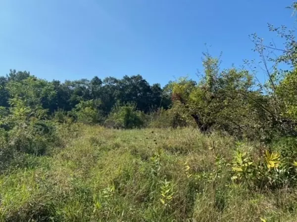 Sutton, MA 01590,126 Dodge Hill Rd