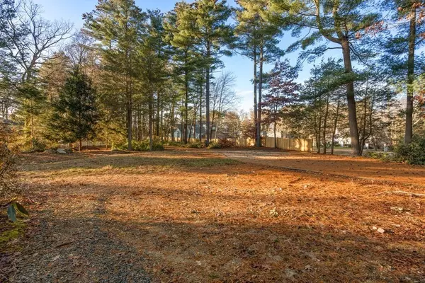 Wellesley, MA 02482,222 Grove - Land