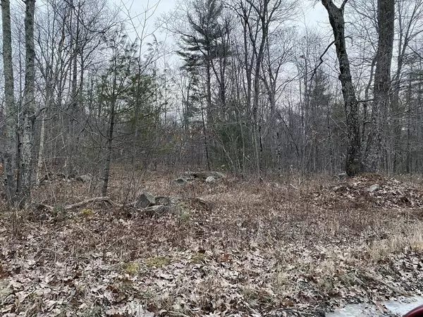 Monson, MA 01057,Lot 169-22 Beebe Rd