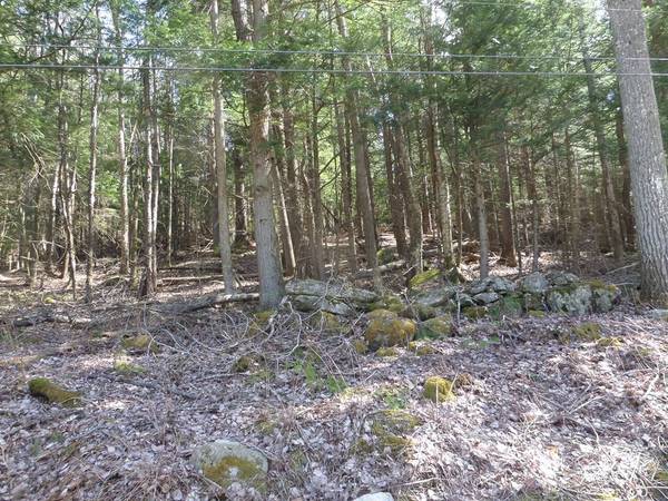 LOT 1 Thayer Hill Road, Worthington, MA 01098