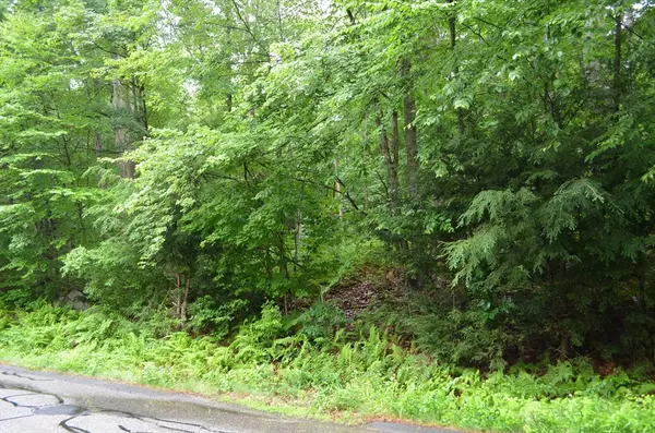Ware, MA 01082,Lot 4 Babcock Tavern Rd