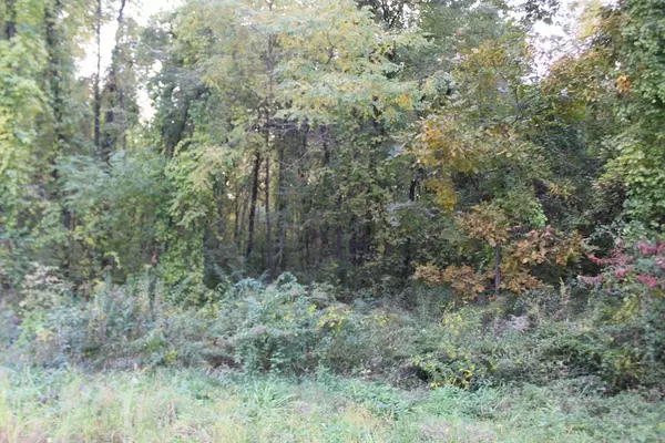 Montague, MA 01351,0 Rod Shop Rd