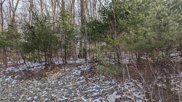 Charlton, MA 01507,Lot0 Worcester Rd