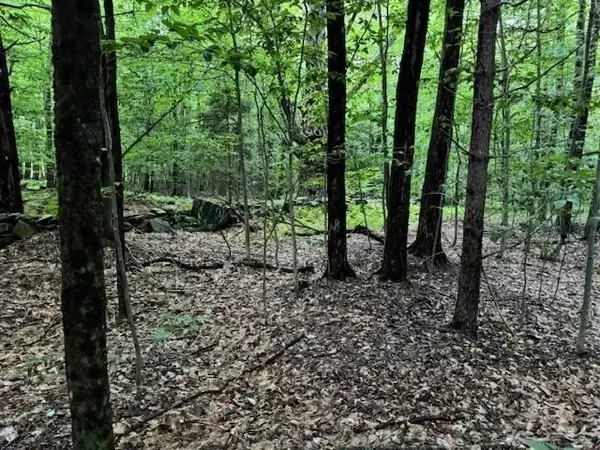 Charlemont, MA 01339,55 Cherrie Pierson Rd