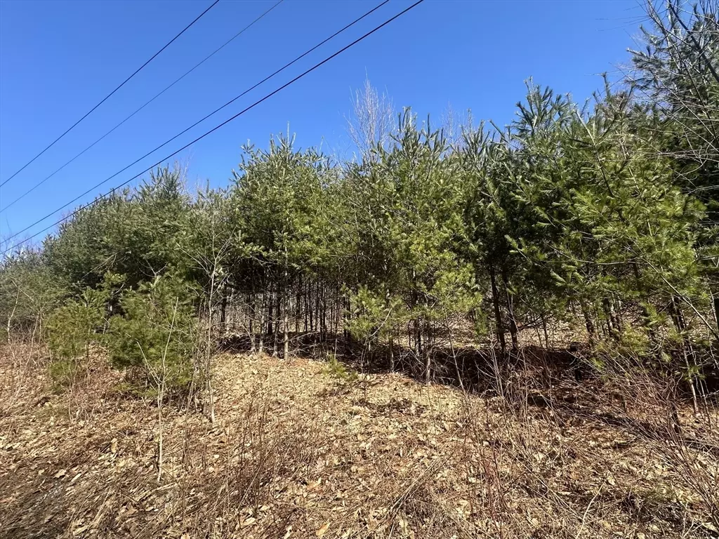 Blandford, MA 01008,Lot 3 8 Beulah Land Rd.