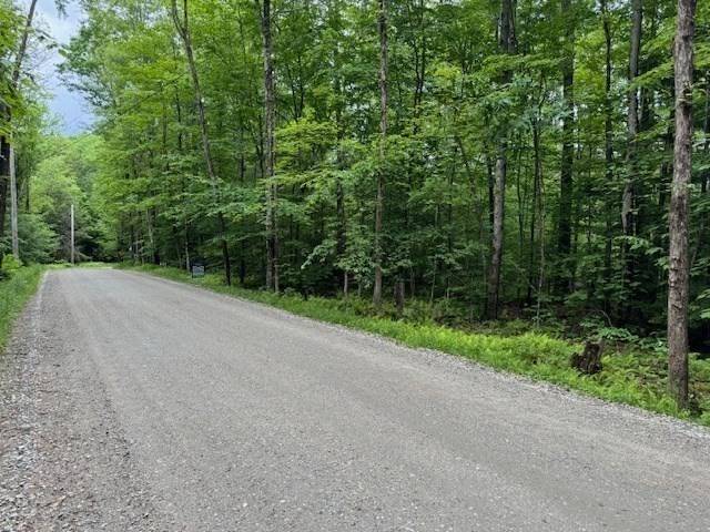 Lot 121 Davis Mine Rd, Rowe, MA 01367