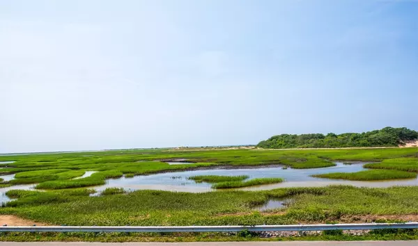 Provincetown, MA 02657,81 Province Lands Road #1