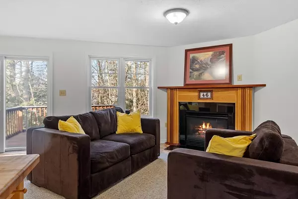 Templeton, MA 01468,46 Day Mill Dr #46