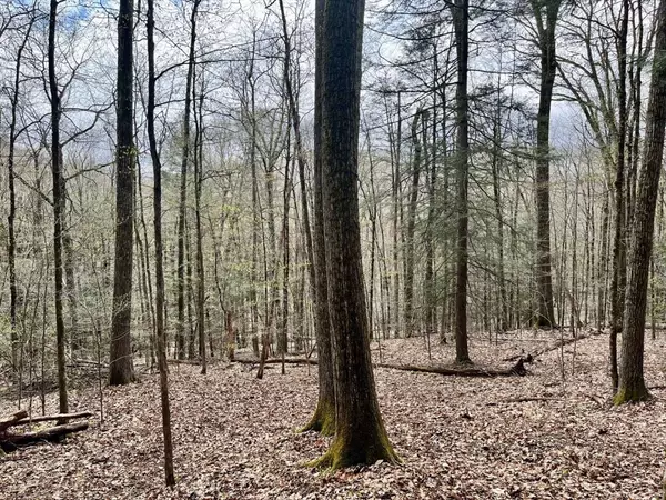 Cummington, MA 01026,0 Packard Rd