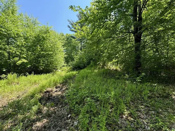 Wendell, MA 01379,Lot 56.1 Locke Hill Road