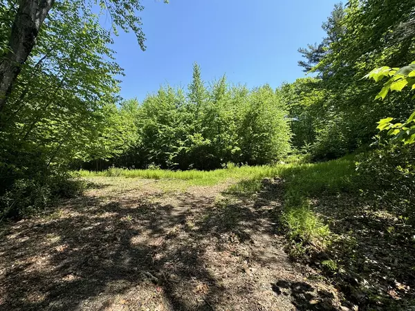 Wendell, MA 01379,Lot 56.1 Locke Hill Road