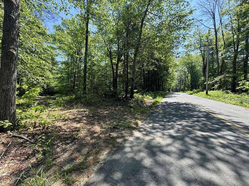 Lot 56.1 Locke Hill Road, Wendell, MA 01379