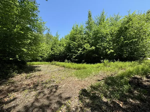 Wendell, MA 01379,Lot 56.1 Locke Hill Road