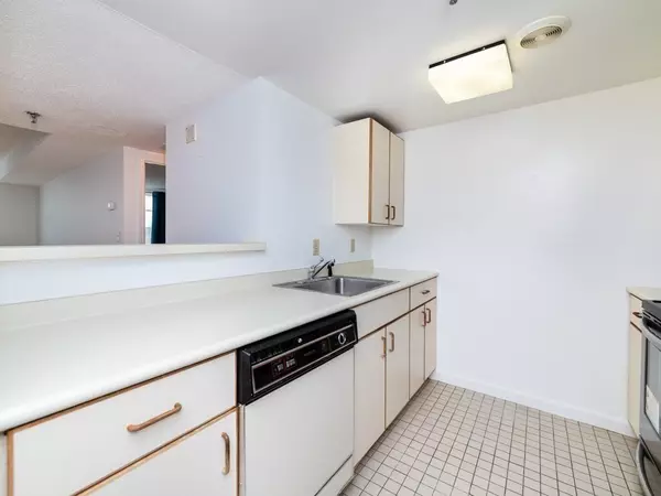 Brookline, MA 02446,20 Webster St #410