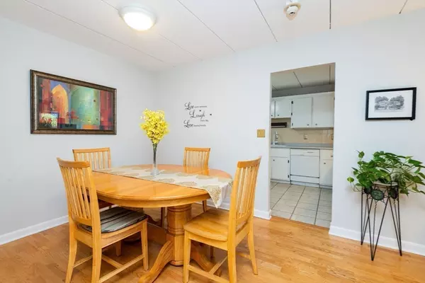 Melrose, MA 02176,43-51 Albion St #B7