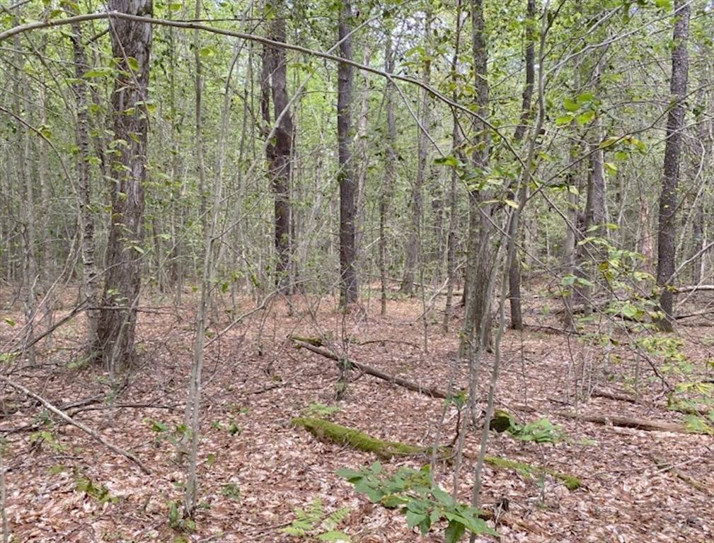 Chesterfield, MA 01012,Lot 6 Bissell Rd