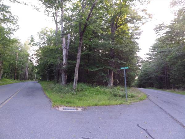 Chesterfield, MA 01012,0 Damon Pond Rd