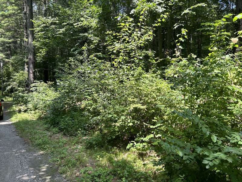 39 W Carr - Lot, Sutton, MA 01588