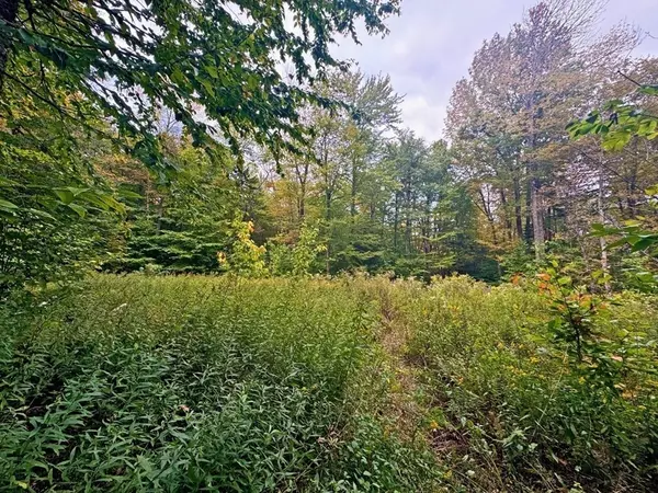Rowe, MA 01367,60 Stone Hill Road