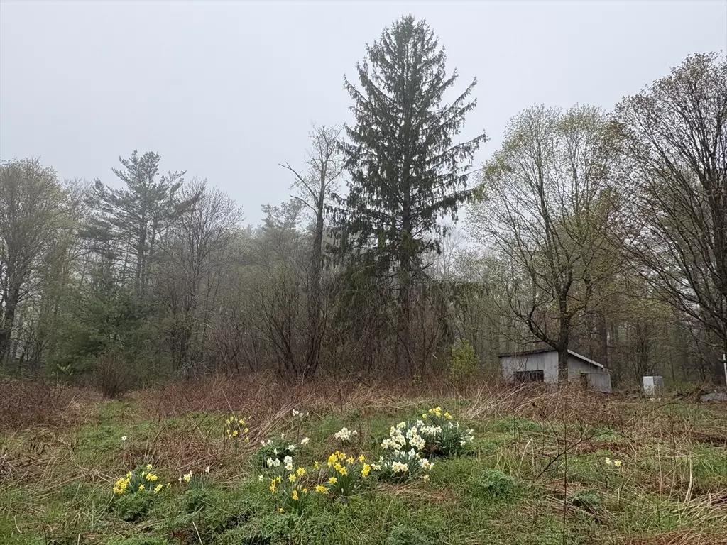 Chesterfield, MA 01096,63 Sugar Hill Road