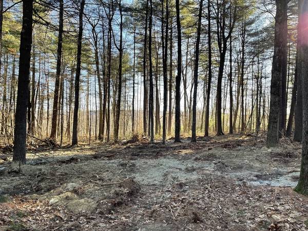 Lot 38B Michael Sears, Belchertown, MA 01007