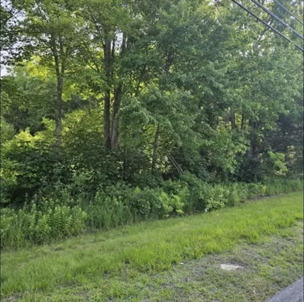 Lot 230-25 Stebbins, Belchertown, MA 01007