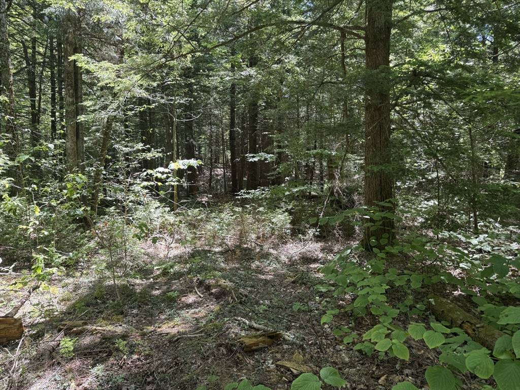 Ashfield, MA 01330,0 Old Stage Rd