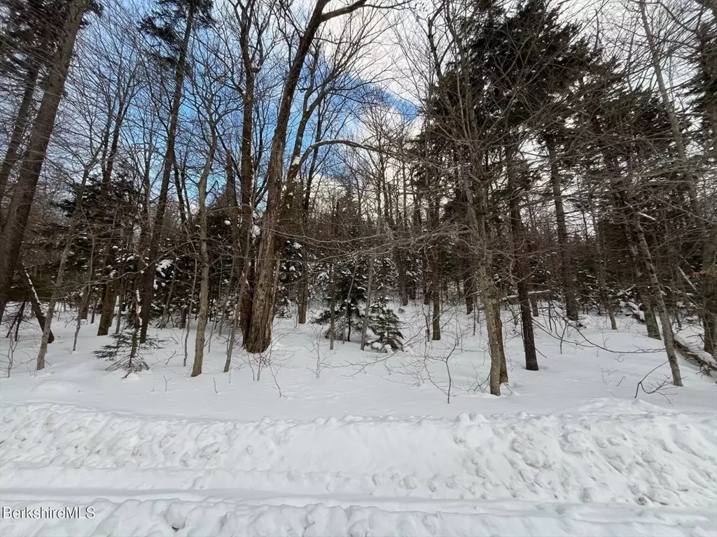 Monroe, MA 01350,0 Manley Phelps Road