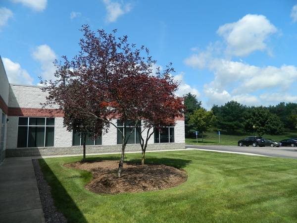 200 Stonewall Boulevard #101, Wrentham, MA 02093