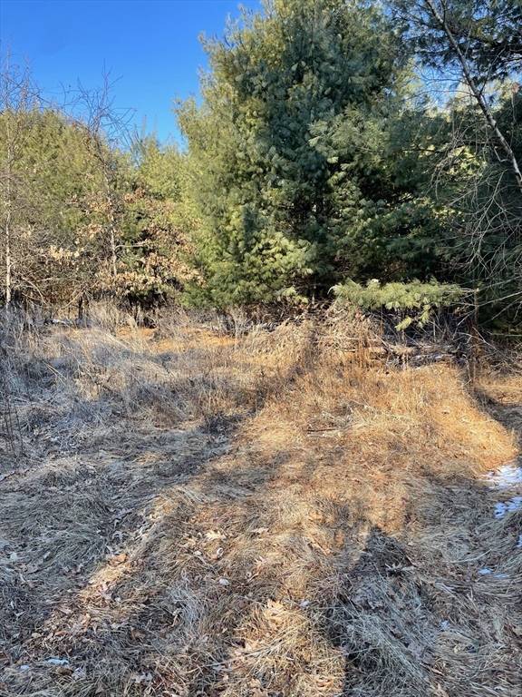 Sherborn, MA 01770,14 Sewall Brook Lane