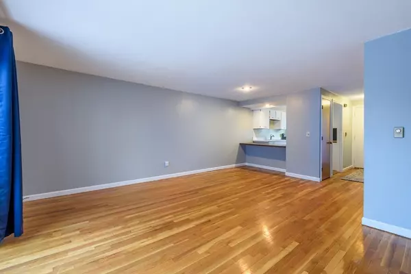 Amherst, MA 01002,17 Webster Ct #17